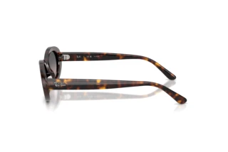 Side view Ray-Ban RB2223 (902/M3)