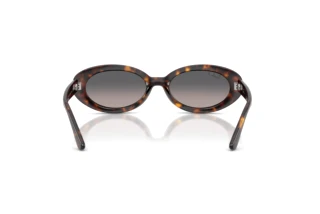 Rear view Ray-Ban RB2223 (902/M3)