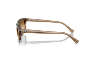 Side view Ray-Ban RB2225 (664051)