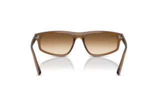 Rear view Ray-Ban RB2225 (664051)