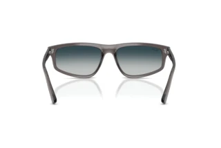 Rear view Ray-Ban RB2225 (667532)