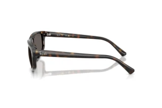 Side view Ray-Ban RB2225 (710/B1)