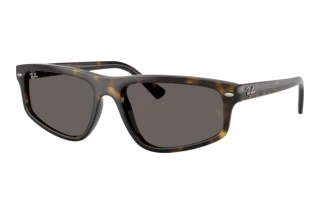 Front view Ray-Ban RB2225 (710/B1)