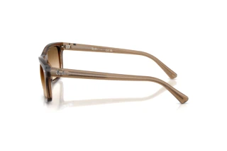 Side view Ray-Ban RB2226 (664051)