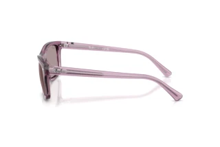 Side view Ray-Ban RB2226 (684753)