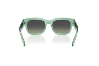 Rear view Ray-Ban RB2228M (F70911)
