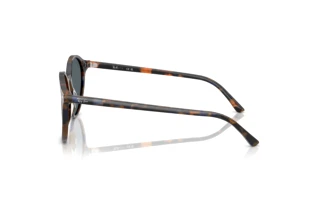 Side view Ray-Ban RB2230 (1356R5)