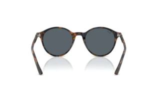 Rear view Ray-Ban RB2230 (1356R5)