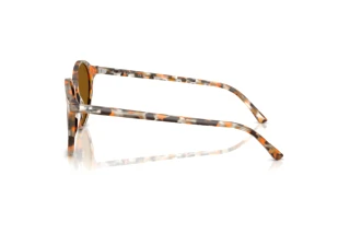 Side view Ray-Ban RB2230 (135733)