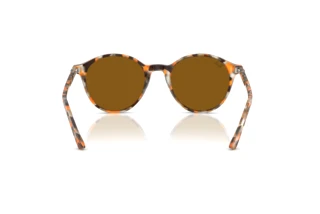 Rear view Ray-Ban RB2230 (135733)