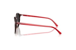 Side view Ray-Ban BERNARD (RB2230 - 141948)