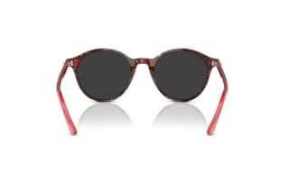Rear view Ray-Ban BERNARD (RB2230 - 141948)