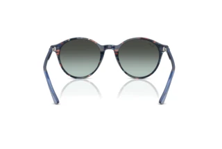 Rear view Ray-Ban BERNARD (RB2230 - 1420GK)