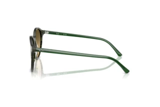 Side view Ray-Ban BERNARD (RB2230 - 14210A)