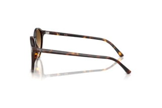 Side view Ray-Ban BERNARD (RB2230 - 902/51)