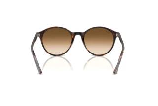 Rear view Ray-Ban BERNARD (RB2230 - 902/51)