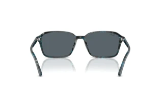 Rear view Ray-Ban RAIMOND (RB2231 - 1417R5)