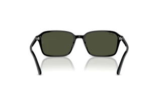 Rear view Ray-Ban RAIMOND (RB2231 - 901/31)