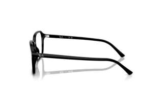 Side view Ray-Ban RAIMOND (RB2231 - 901/GG)
