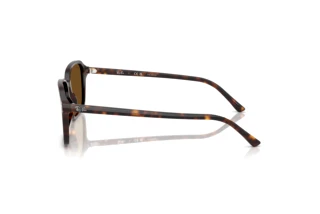 Side view Ray-Ban RAIMOND (RB2231 - 902/57)
