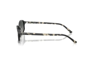 Side view Ray-Ban RB2232 (133371)