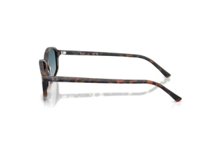 Side view Ray-Ban RB2232 (13563M)