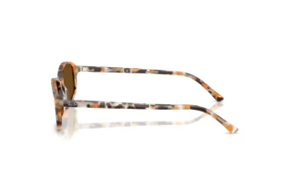 Side view Ray-Ban RB2232 (135757)