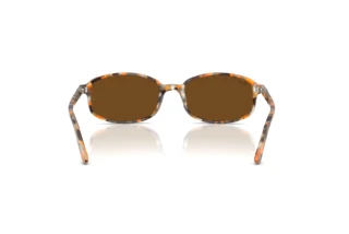 Rear view Ray-Ban RB2232 (135757)