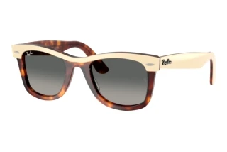 Front view Ray-Ban WAYFARER (RB2240 - 144371)