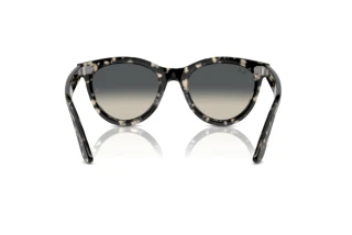 Rear view Ray-Ban WAYFARER WAY (RB2241 - 133371)