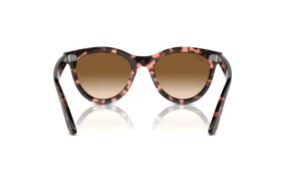 Rear view Ray-Ban WAYFARER WAY (RB2241 - 133451)