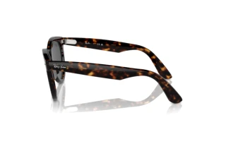 Side view Ray-Ban WAYFARER WAY (RB2241 - 902/B1)