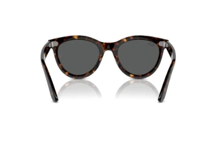 Rear view Ray-Ban WAYFARER WAY (RB2241 - 902/B1)