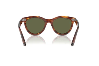 Rear view Ray-Ban WAYFARER WAY (RB2241 - 954/58)
