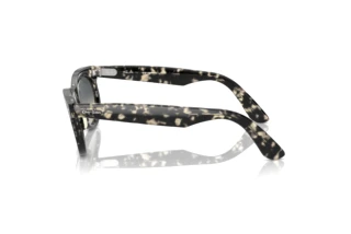 Side view Ray-Ban WAYFARER OVAL (RB2242 - 133371)