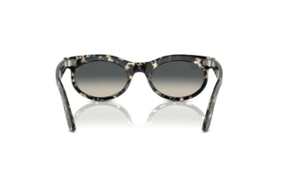 Rear view Ray-Ban WAYFARER OVAL (RB2242 - 133371)
