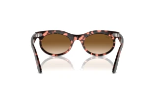 Rear view Ray-Ban WAYFARER OVAL (RB2242 - 133451)