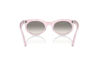 Rear view Ray-Ban WAYFARER OVAL (RB2242 - 138432)