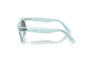 Side view Ray-Ban WAYFARER OVAL (RB2242 - 138596)