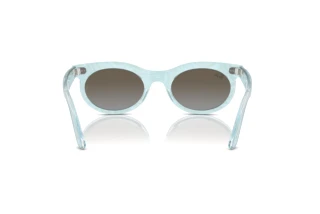 Rear view Ray-Ban WAYFARER OVAL (RB2242 - 138596)