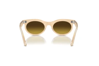 Rear view Ray-Ban WAYFARER OVAL (RB2242 - 138685)