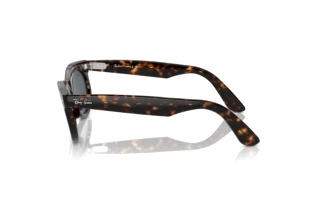 Side view Ray-Ban WAYFARER OVAL (RB2242 - 902/R5)