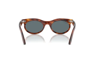 Rear view Ray-Ban WAYFARER OVAL (RB2242 - 954/3R)