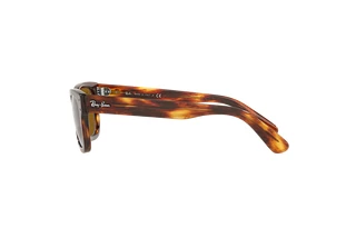 Side view Ray-Ban MR BURBANK (RB2283 - 954/33)
