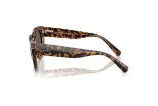 Side view Ray-Ban DOREEN (RB2286 - 1292B1)