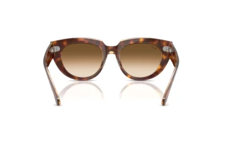 Rear view Ray-Ban DOREEN (RB2286 - 141451)