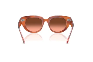 Rear view Ray-Ban DOREEN (RB2286 - 1415A5)
