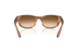 Rear view Ray-Ban MEGA BALORAMA (RB2289 - 140351)