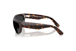 Side view Ray-Ban MEGA BALORAMA (RB2289 - 902/48)