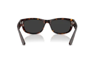 Rear view Ray-Ban MEGA BALORAMA (RB2289 - 902/48)